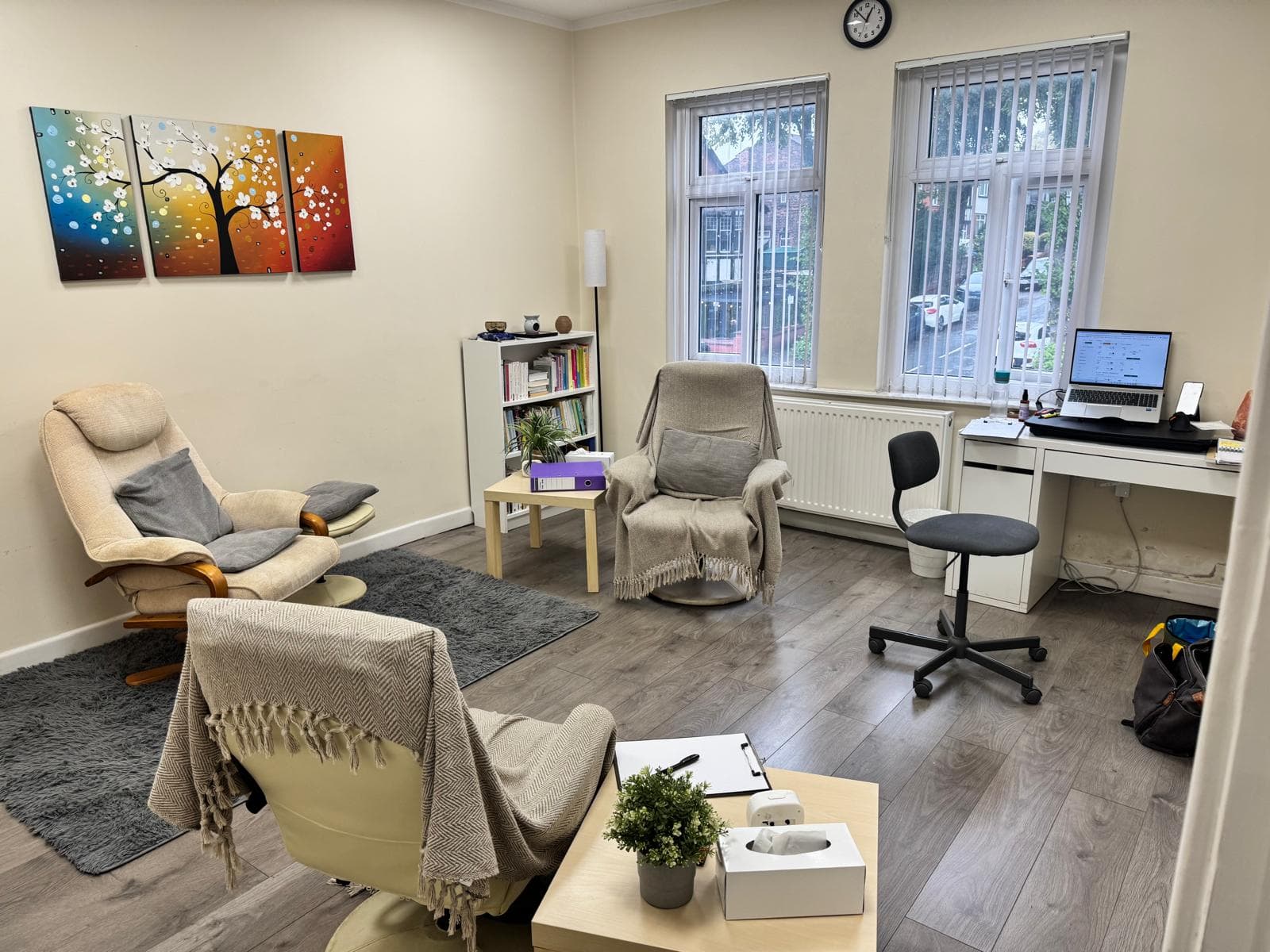 A calm consultation room at Shanti Haven